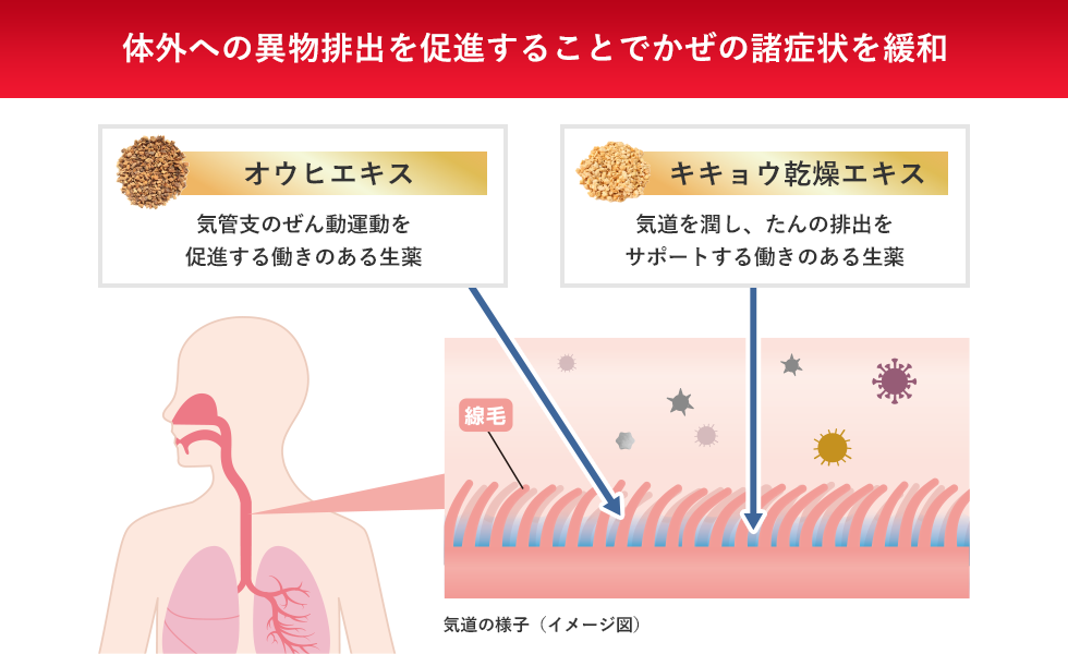 発熱・のどの痛み イブプロフェン 鼻水・鼻づまり ジフェニルピラリン塩酸塩 せき・たん L-カルボシステイン