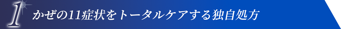 1 かぜの11症状をトータルケアする独自処方